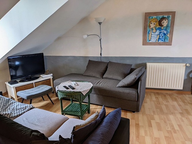 Vue espace salon à disposition : TV, livres, jeux de société