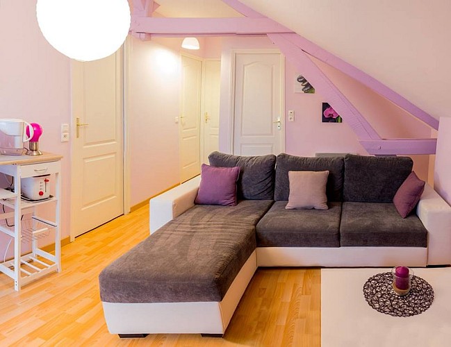 11855500_1456490771327473_633695337_n