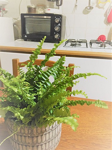 gîte_sarthe_équipé_famillial_nid