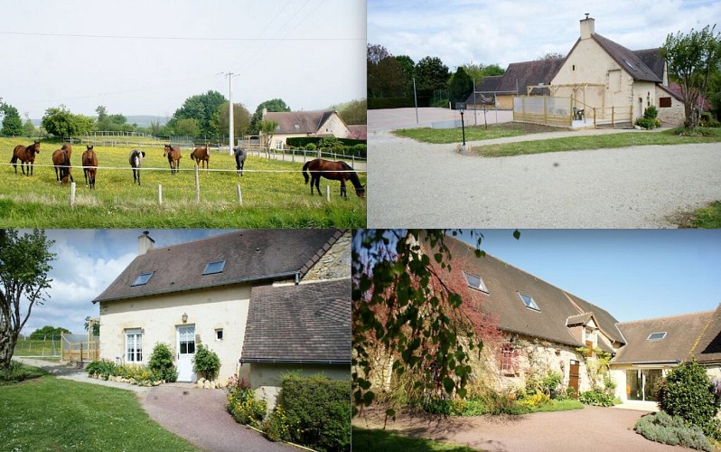 Extérieur - Bas Pezereuil