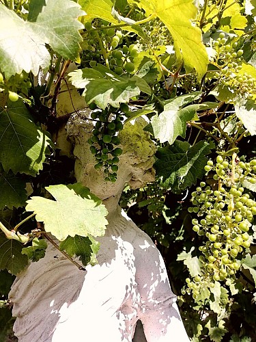 jardin ornemental et aromatique