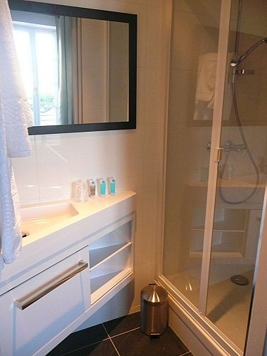 vallee-de-la-sarthe-saint-aubin-SDB-72-HOT