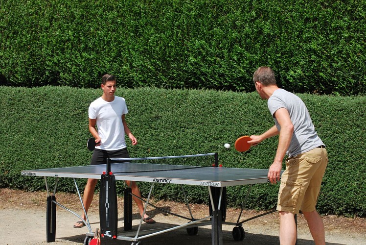 table de ping-pong