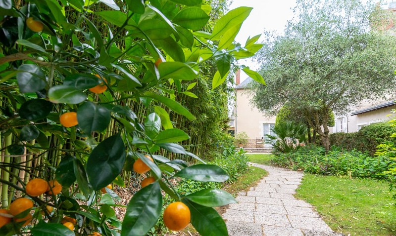 Grand Hôtel de Solesmes - allée