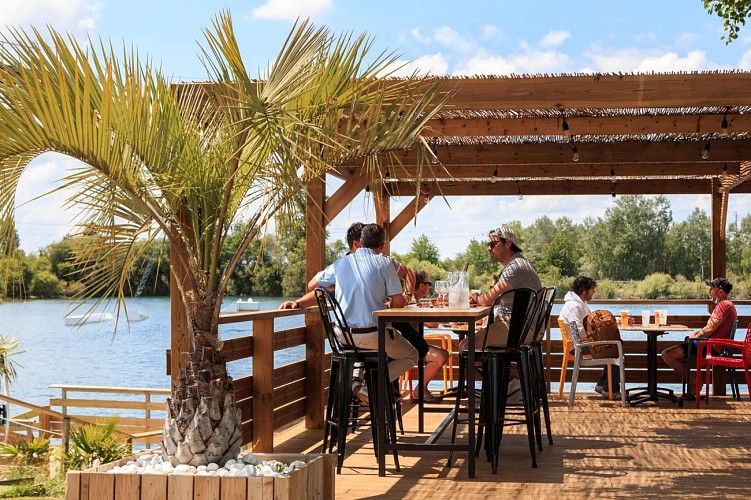 palmier mange debout max