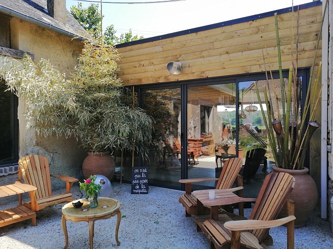 Ô Saule_Thoiré sur Dinan