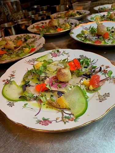 Ô Saule_Thoiré sur Dinan