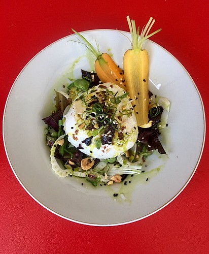 Ô Saule_Thoiré sur Dinan