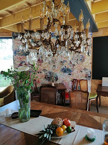 Ô Saule_Thoiré sur Dinan