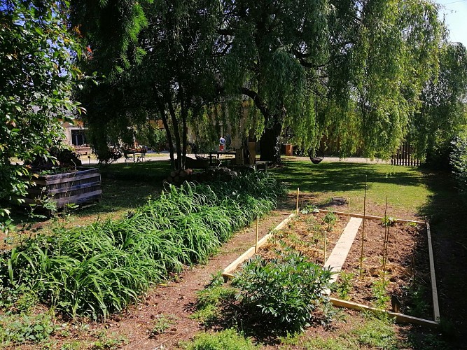 Ô Saule_Thoiré sur Dinan