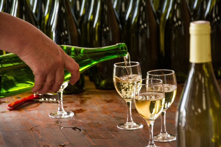 BoulayOTVL2015@stevanLIRA-11