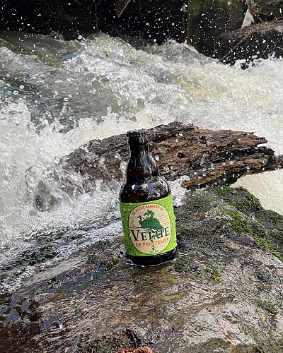 89378386_2841069842685870_5277296358921863168_o