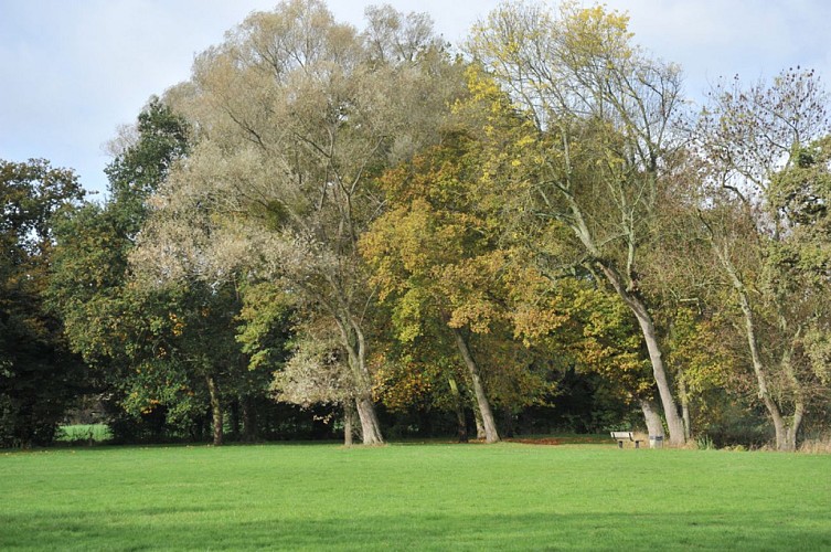 plainedemaulny-lemans-72-pc-2