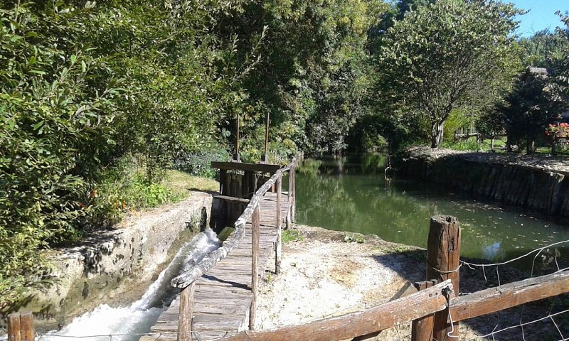 Le Moulin de Rotrou_Vaas