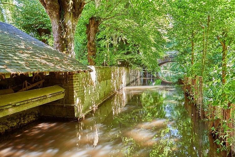 Le Prieuré_Dissay sous Courcillon_lavoir