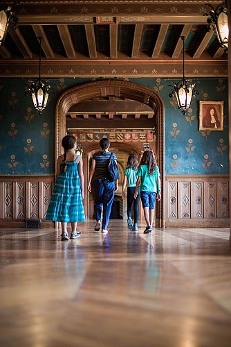 Les salons du château