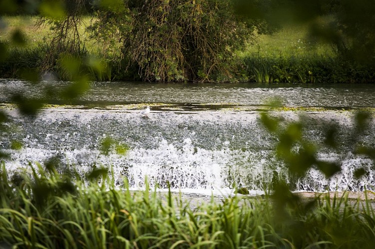 PCU879000541 - _MG_8560