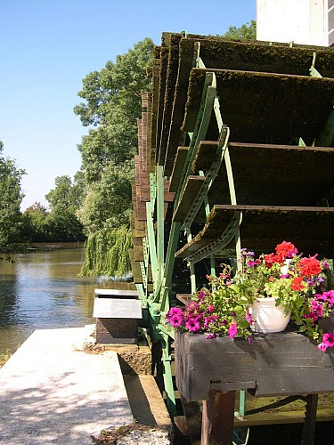 PCU879000735 - Roue à aubes