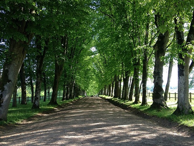 Chateau-de-Dehault-72-PCU-2-2-2