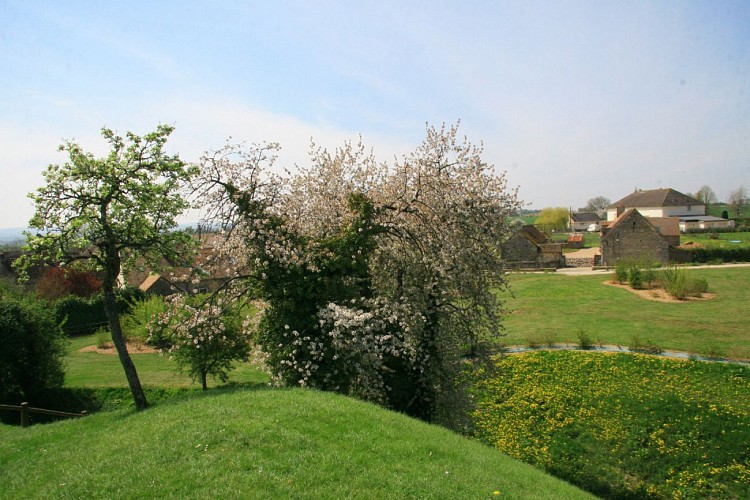 Motte-Féodale-Assé-le-Boisne-72-PCU-2