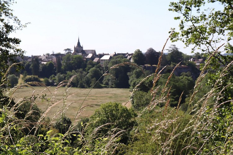 Vue sur Fresnay-sur-Sarthe depuis le Coteau des Vignes