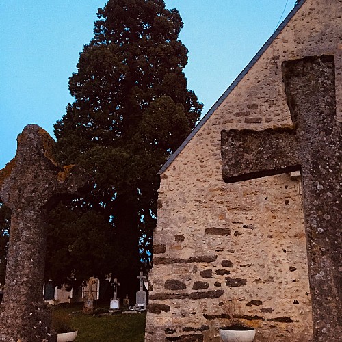 Eglise de l'Assomption - Meurcé
