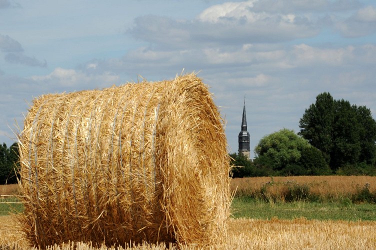 Vue sur l'Église de Congé-sur-Orne