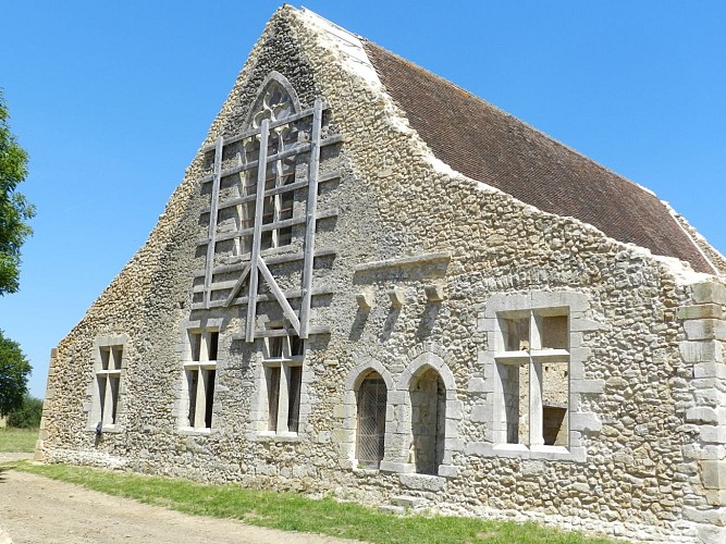 Grande salle de réception médiévale(aula)