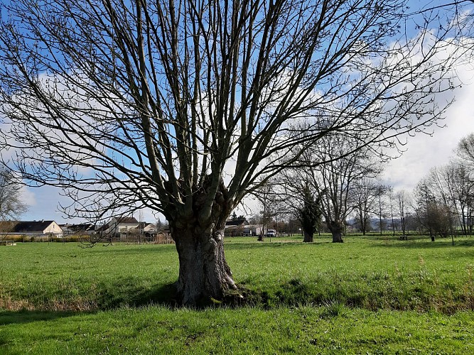 Espace nature verno vici - trognes