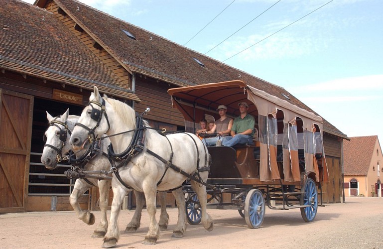 archenature-lemans-72-pn-1