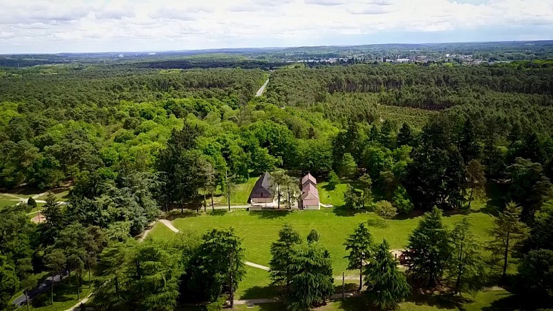 vue de drone Maison forêt