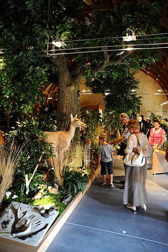 p. 2 maison de la forêt lm_0049931 -® Ville du Mans Gilles Mouss+®