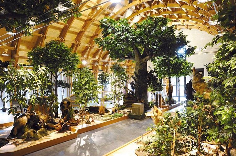 maisondelaforet-lemans