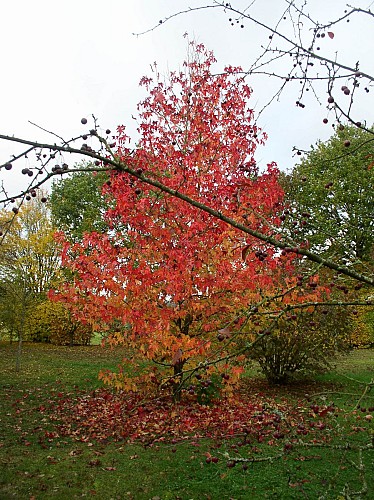 PCUPDL072V5029AZ - P1010006