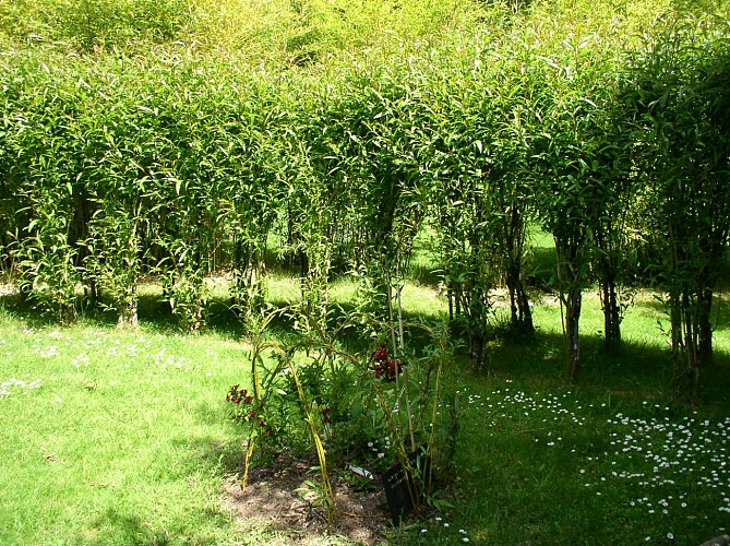 PCUPDL072V5029AZ - P1010019