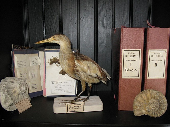 PCU72-cabinets-curieux-1