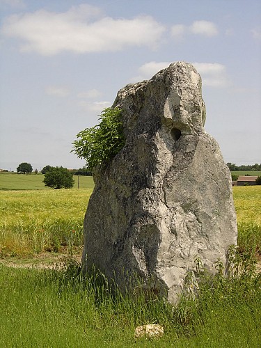 duneau-menhir-2
