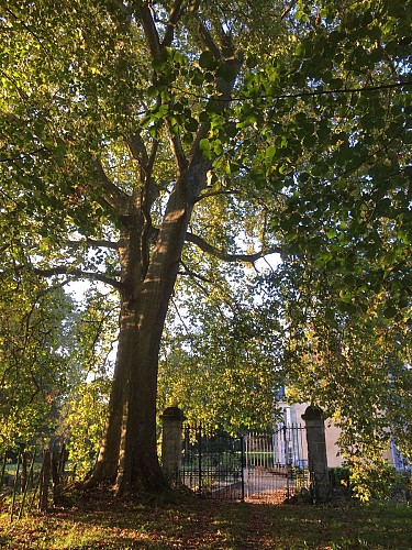 Chateau du paty_Chenu (5)