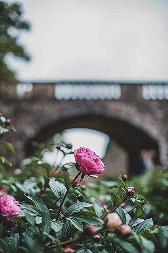 Conservatoire des Pivoines