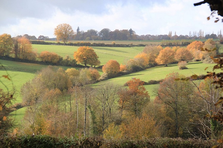 Vue sur la campagne du Manoir de Beaumont