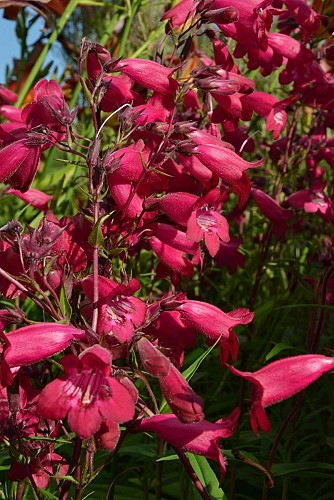 13559112_1562946917333912_5824885135915950156_o