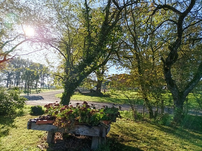 Gîte La Veillonniere - La Ferme de Camille