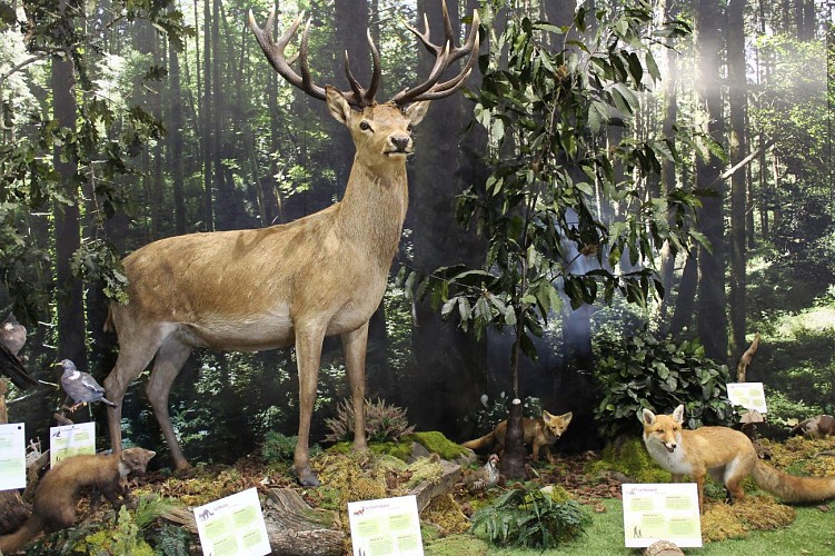Musée de la biodiversité