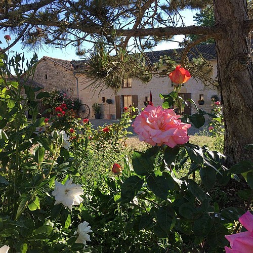 Gîtes dans les champs