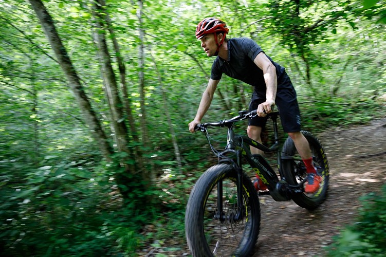 Expérience Vélo, randonnée en VTT électrique et activités de groupe et team building