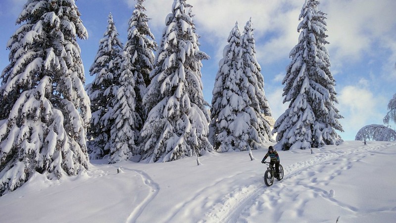 Expérience Vélo, randonnée en VTT électrique et activités de groupe et team building