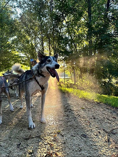 att.TrqZ4wO9c-zgKh8ixlm633yUrcOgzuDfRYarS9SvXgU