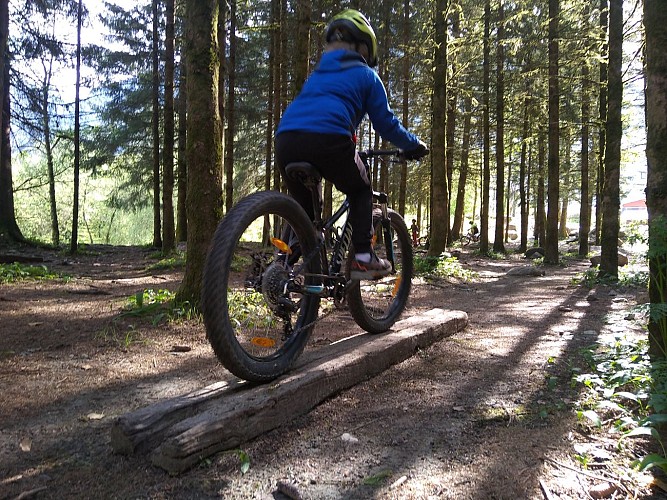 Mountainbike 8-12 Jahre: Biker-Kurs grüne bis blaue Stufe