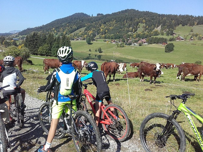 Mountainbike 8-12 Jahre: Biker-Kurs grüne bis blaue Stufe