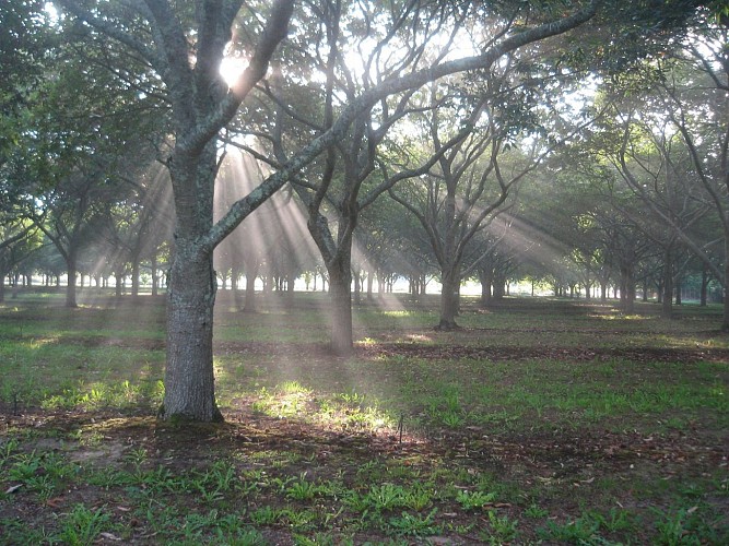 61431226_1349632718494931_900253019579351040_o